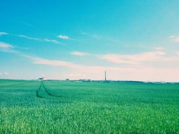 Scenic view of grassy field against sky