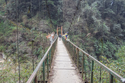 Man walking on bridge in forest