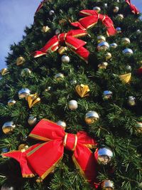 Close-up of christmas tree