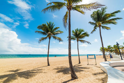 Palm trees on beach against sky