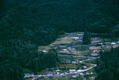 High angle view of trees in farm