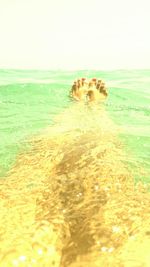 Close-up of horse in sea against sky