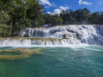 Scenic view of waterfall in forest