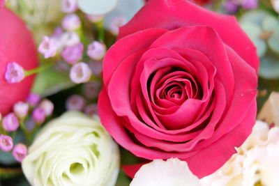Close-up of rose bouquet
