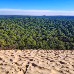 High angle view of trees on land against sky