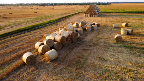 Hay bales on field