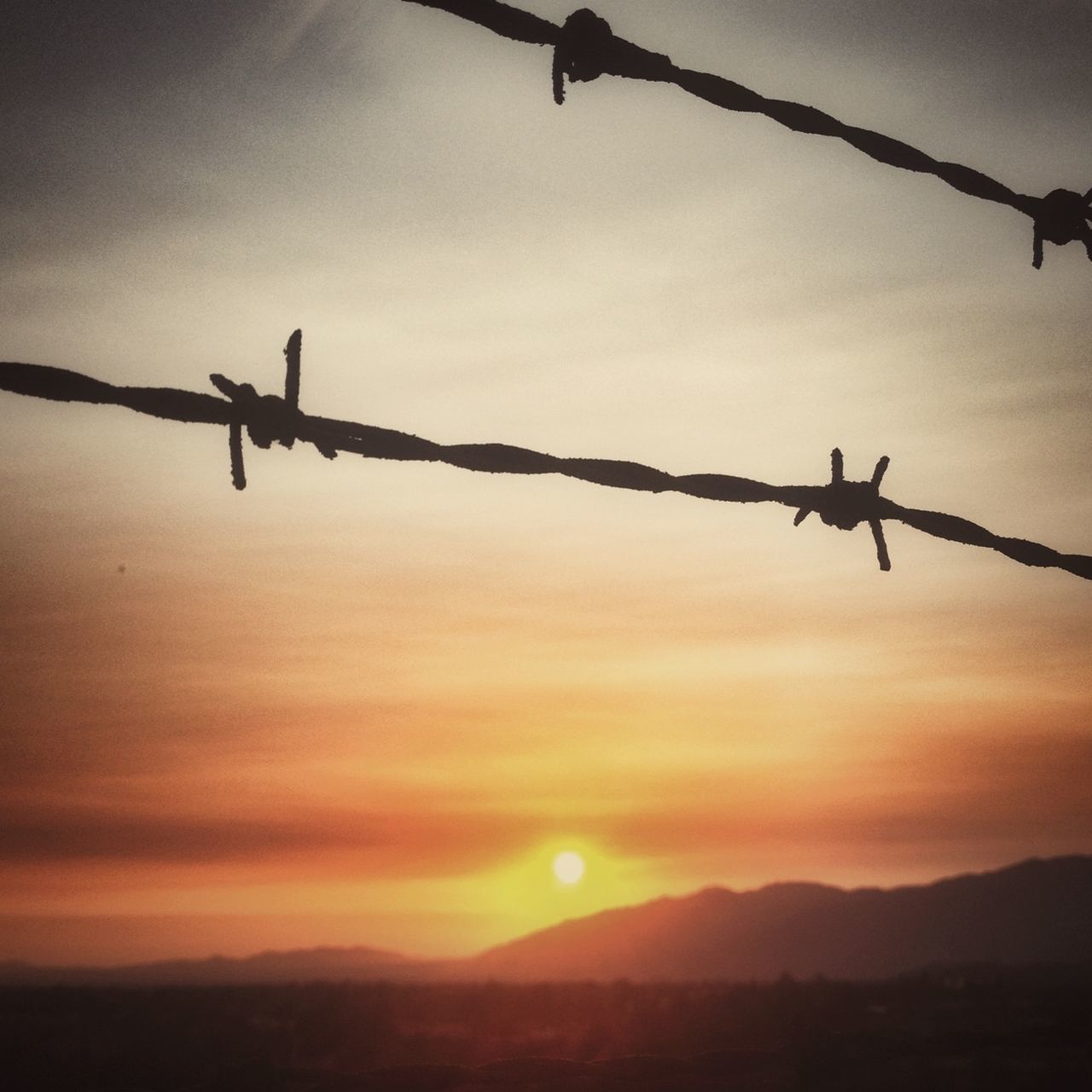 sunset, silhouette, barbed wire, fence, safety, protection, orange color, security, sky, bird, nature, focus on foreground, metal, sun, connection, outdoors, scenics, tranquility, low angle view, no people