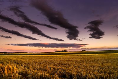 Idyllic shot of green landscape against sky during sunset