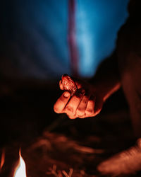 Close-up of hand holding red leaf