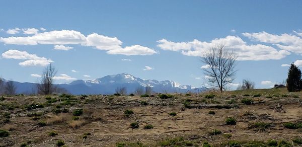 Panoramic view of field against sky