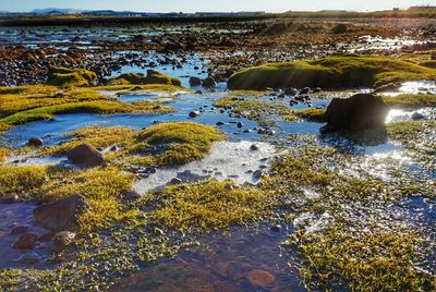 Rocks in sea