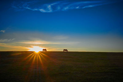 View of sunset over field