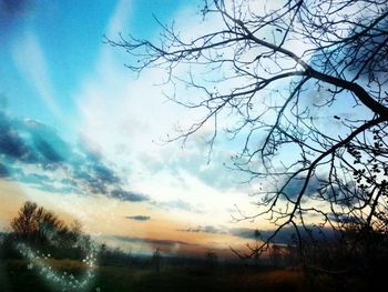 Low angle view of trees against sky