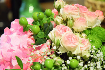 Close-up of pink rose