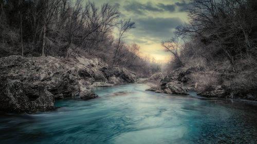 Scenic view of river amidst trees in forest against sky