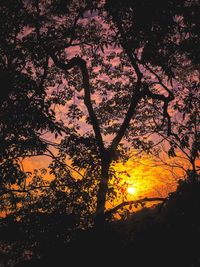 Silhouette tree against sky during sunset