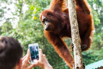 Portrait of young man photographing at camera