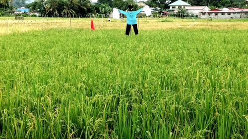 Rear view of man standing in farm