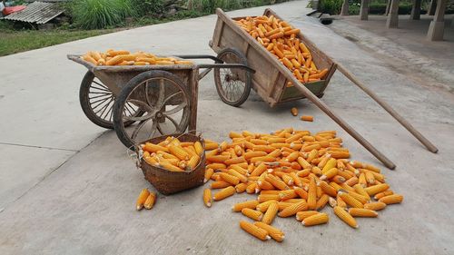 High angle view of vegetables on table