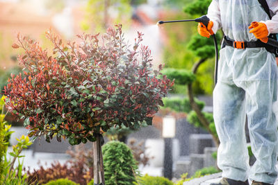 Man working on plants