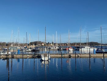 Sailboats moored in harbor