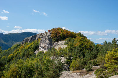 Scenic view of trees and mountains against sky