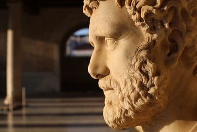 Close-up of statue in museum