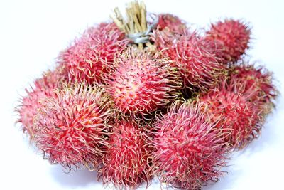 Close-up of red fruit over white background