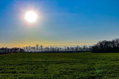 Scenic view of field against bright sun