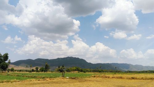 Scenic view of field against sky