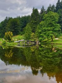 Scenic view of lake by trees against sky