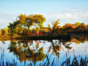 Scenic view of lake by trees against sky