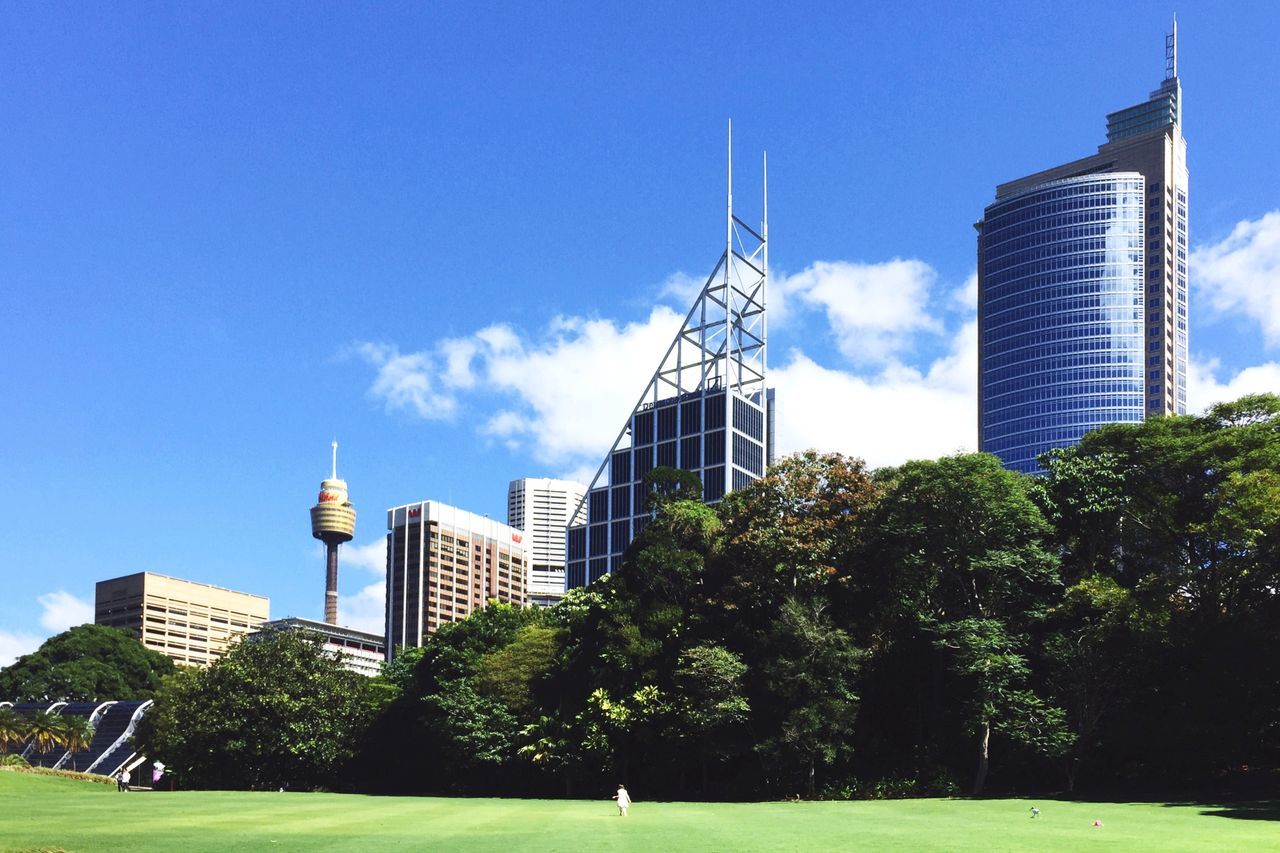 building exterior, architecture, built structure, tower, tall - high, city, skyscraper, tree, modern, office building, sky, low angle view, growth, capital cities, green color, travel destinations, famous place, blue, tall, building