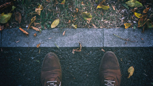 Low section of person standing on leaves