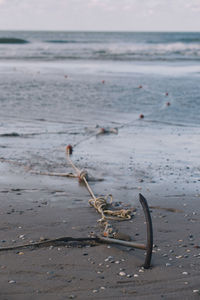 Close-up of sea shore against sky
