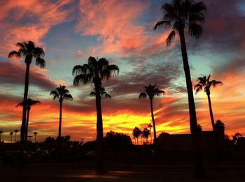 Silhouette palm trees on beach against orange sky