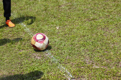 Low section of person with ball on grass