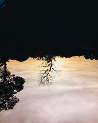 Silhouette trees on landscape against sky at sunset