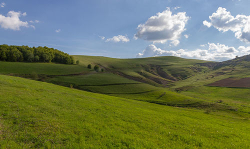 Scenic view of green landscape against sky