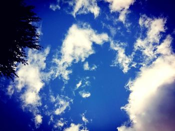 Low angle view of trees against blue sky