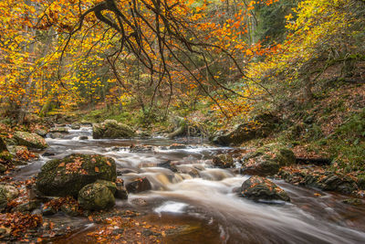 Stream flowing through rocks in forest during autumn