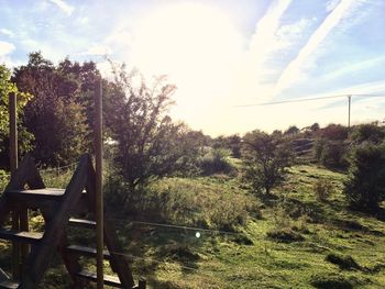 Trees on field against sky