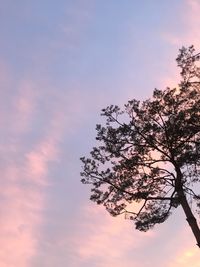 Low angle view of silhouette tree against sky at sunset