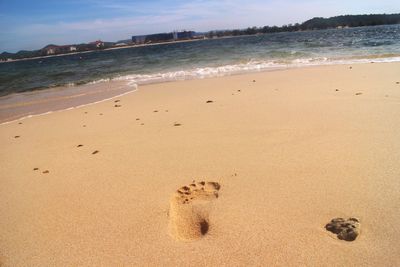 Scenic view of beach against sky