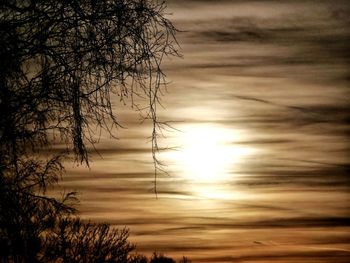 Silhouette bare tree against sky during sunset