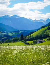 Scenic view of field and mountains against sky