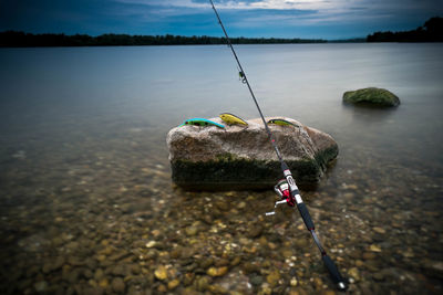 Close-up of fishing on rock by sea against sky