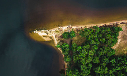 High angle view of trees on landscape