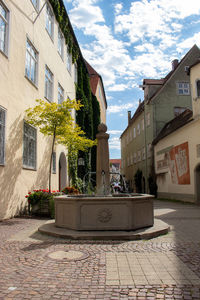 Potted plants on street against buildings in town