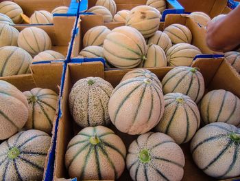 Full frame shot of pumpkins for sale at market